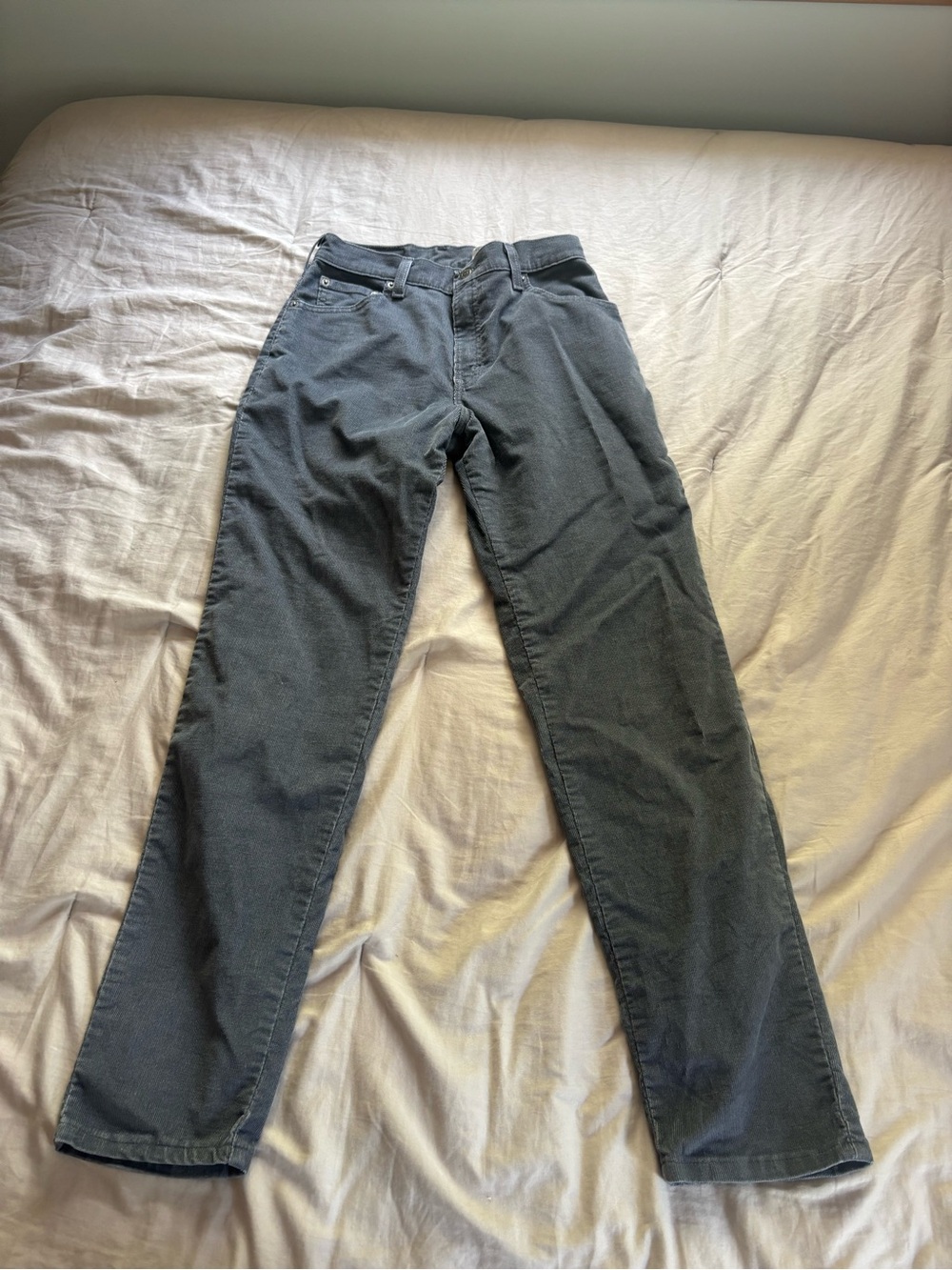 Levi's Gray Corduroy 550 Relaxed Fit Pants
